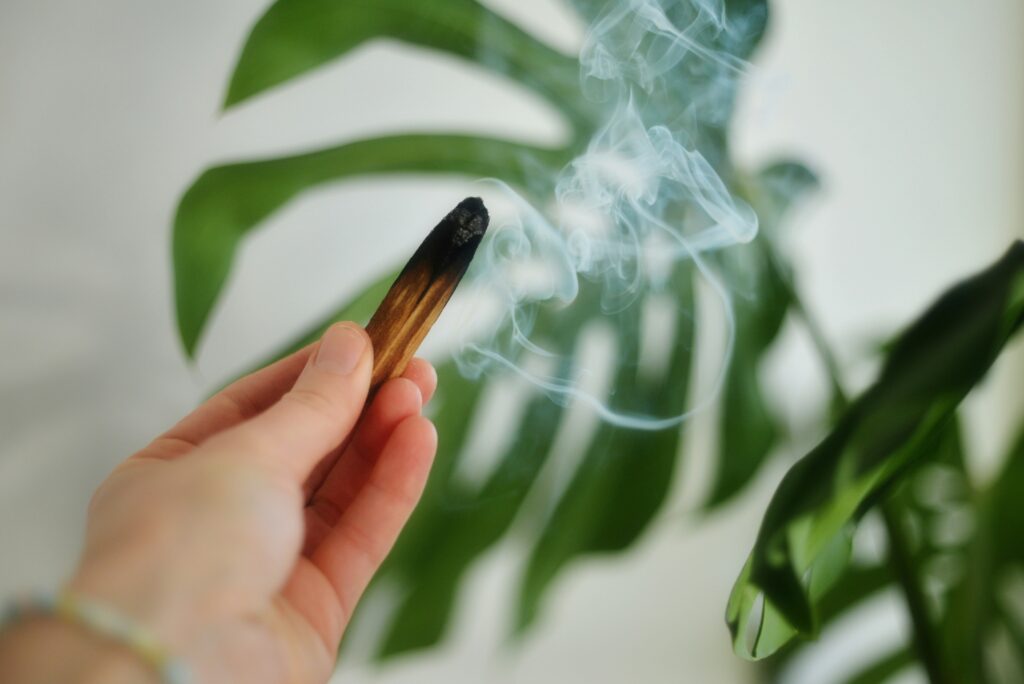Palo Santo: Ursprung, Wirkung und Anwendung des heiligen Holzes