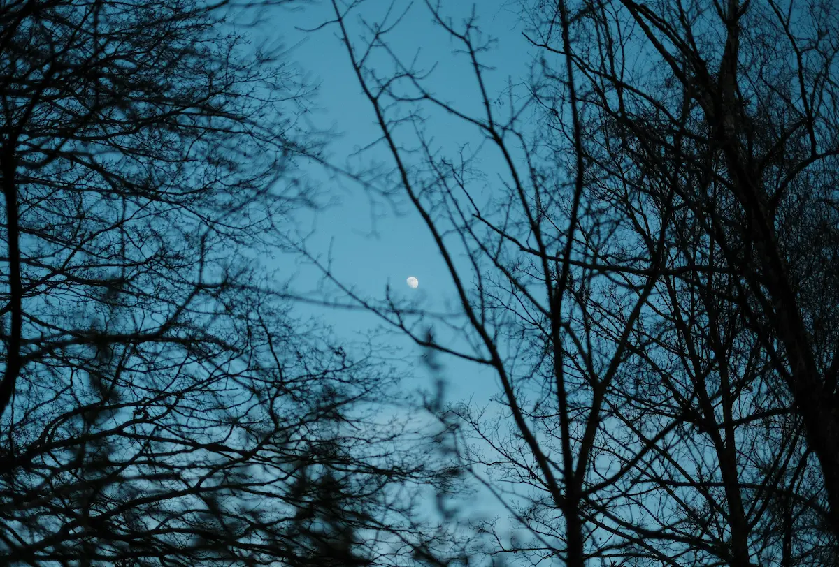 Rauhnächte und die 13 Wünsche – Ein ausführlicher spiritueller Leitfaden